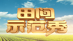 当蜜桃成熟时